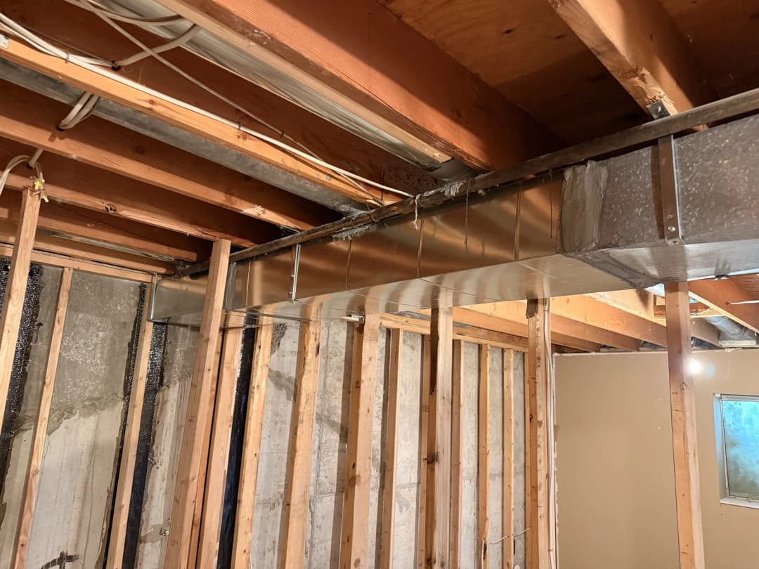 New duct trunk and branches across a basement ceiling